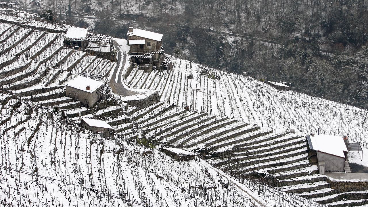 La nieve que deja el temporal cubre los bancales de las viñas de la Ribeira de San Fiz.