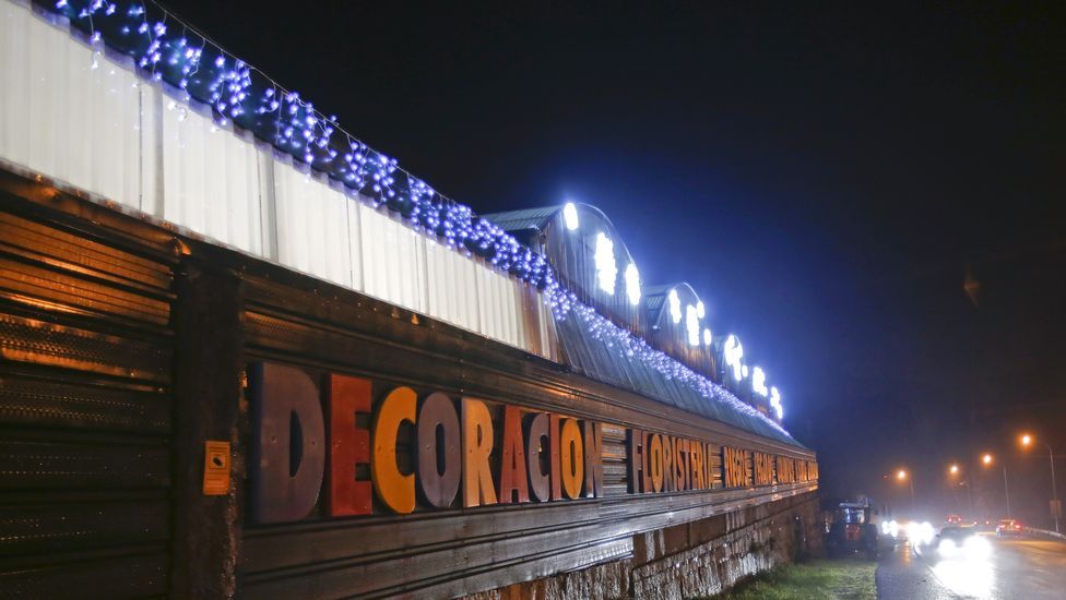 Navidad en Viveiros O Piñeiro