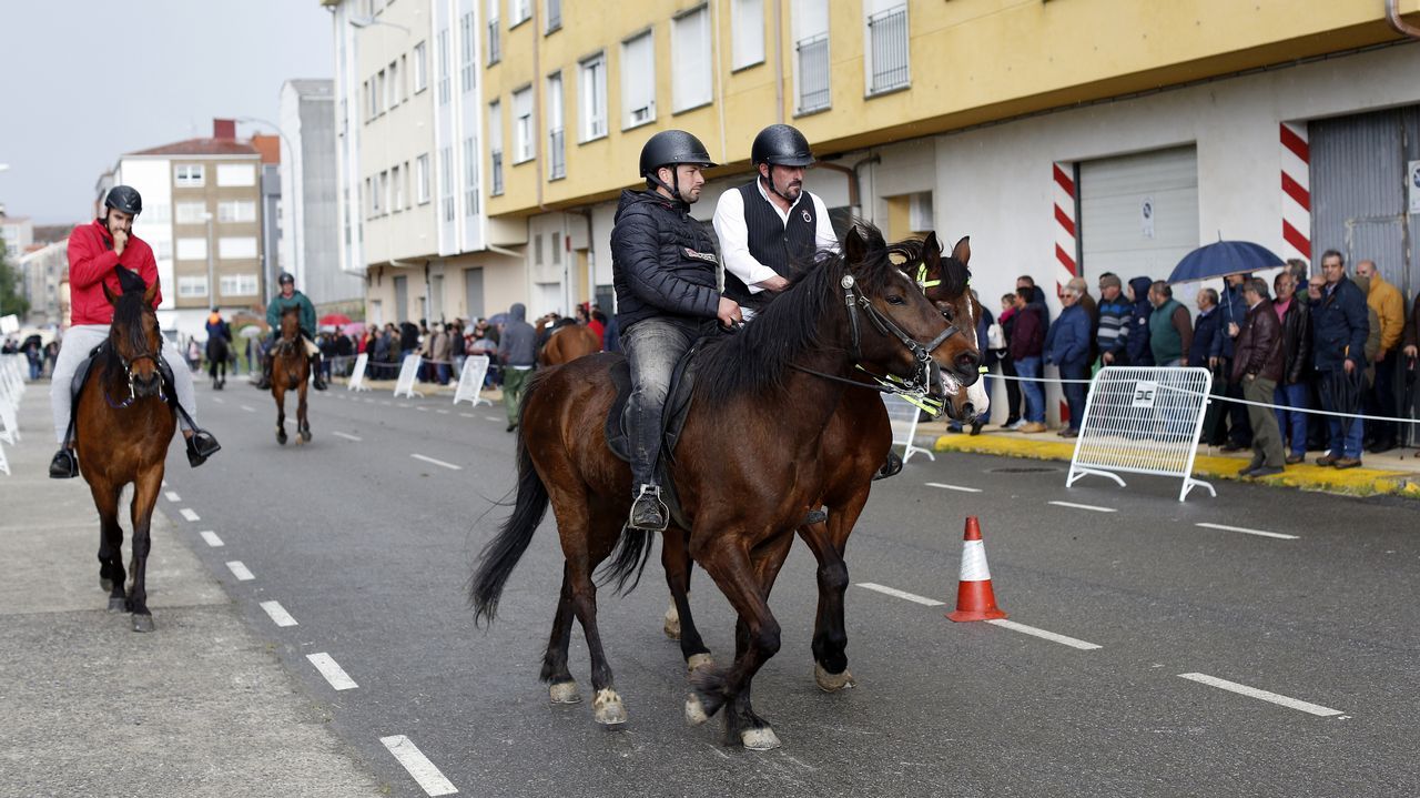 Feria caballar en las Fiestas de San Marcos 2019
