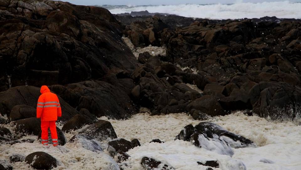 Carballo XXL.Tormenta eléctrica sobre Pontevedra