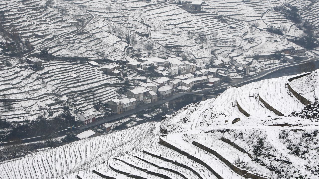La nieve que deja el temporal cubre los bancales de las viñas de la Ribeira de Belesar.