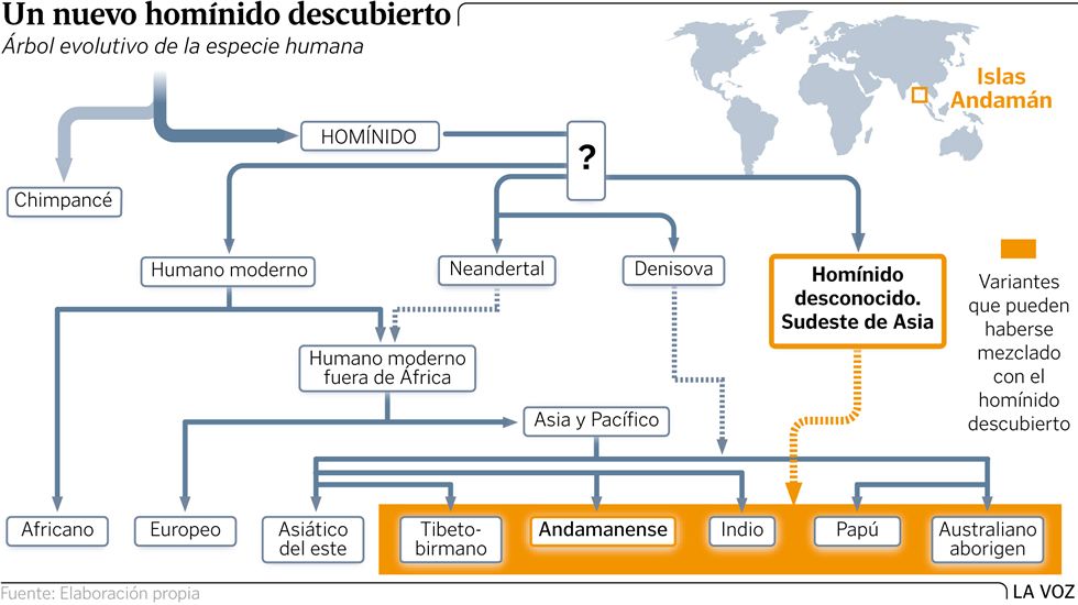 Los cient�ficos, a la calle; la ciencia, al raso.�rbol evolutivo de la evoluci�n humana