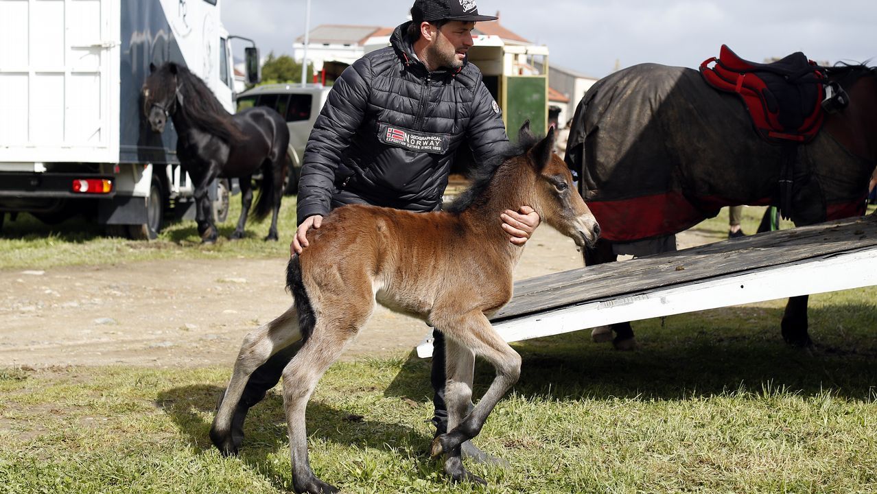 Feria caballar en las Fiestas de San Marcos 2019