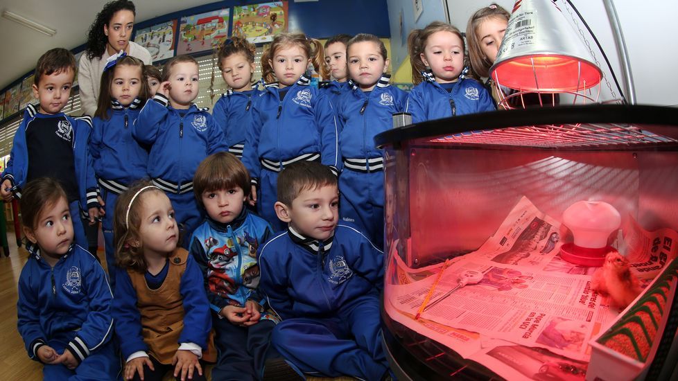 Proyecto voz natura en el colegio Jaime Balmes
