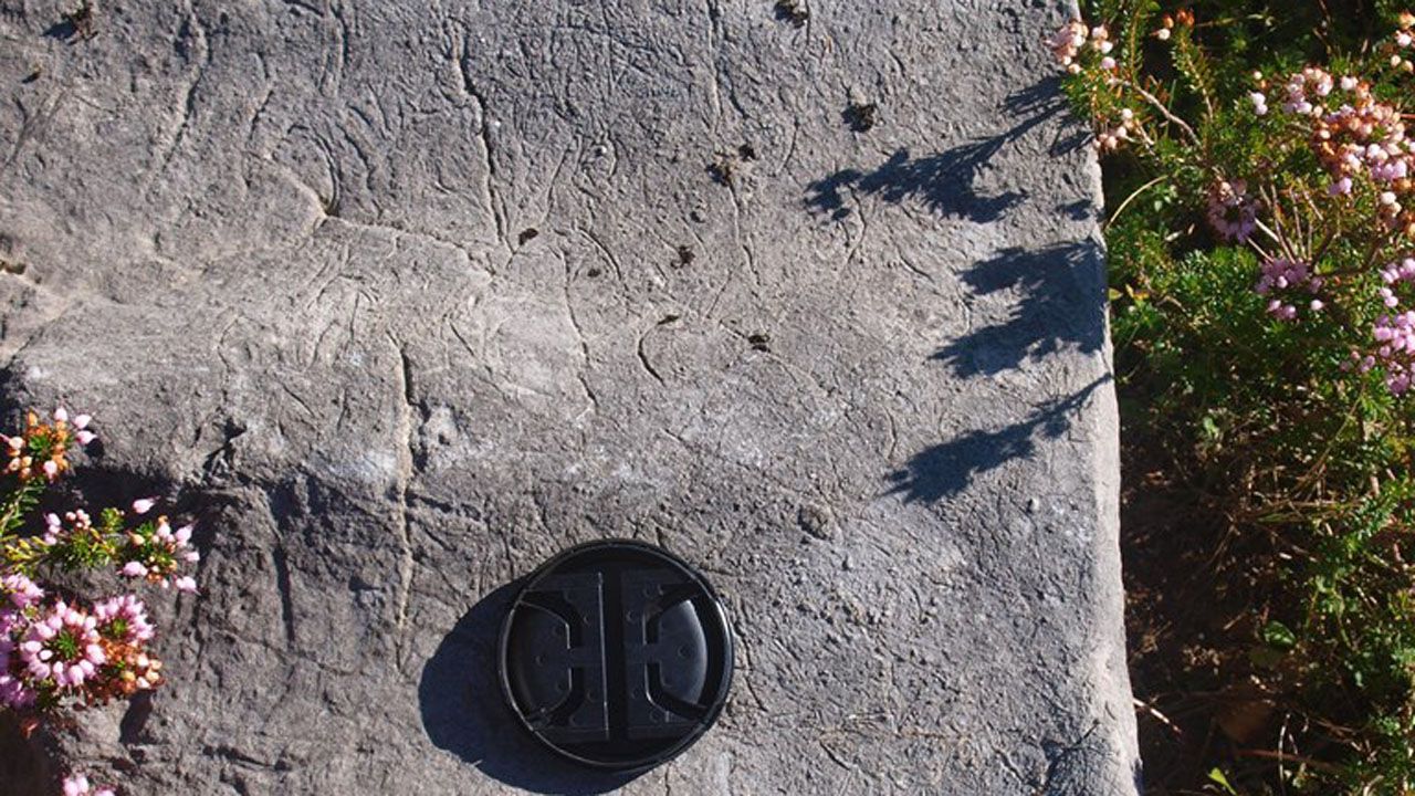 Este es el sorprendente descubrimiento�realizado en los Picos de Europa.El investigador asturiano Pablo Men�ndez, en el centro de la imagen, sin bata