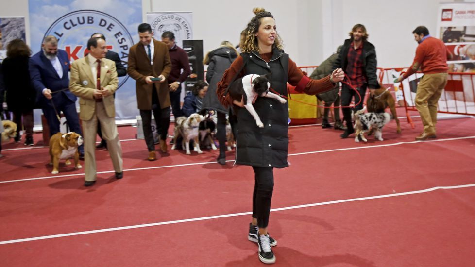 III Exposición Internacional Canina de Ponte Caldelas