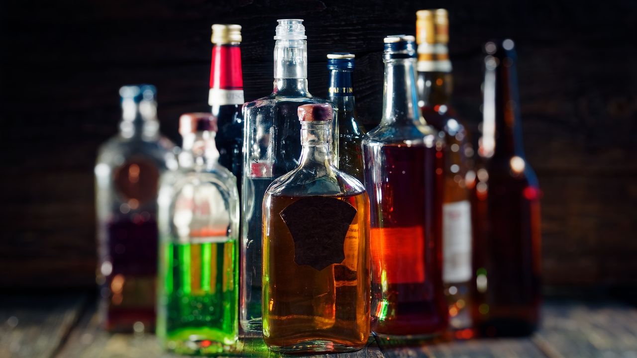 Teodoro, el primer cordero modificado gen�ticamente en Espa�a.Diferentes tipos presentaciones de bebidas alcoh�licas