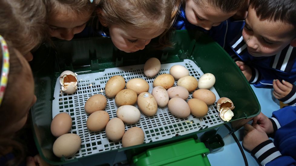 Proyecto voz natura en el colegio Jaime Balmes