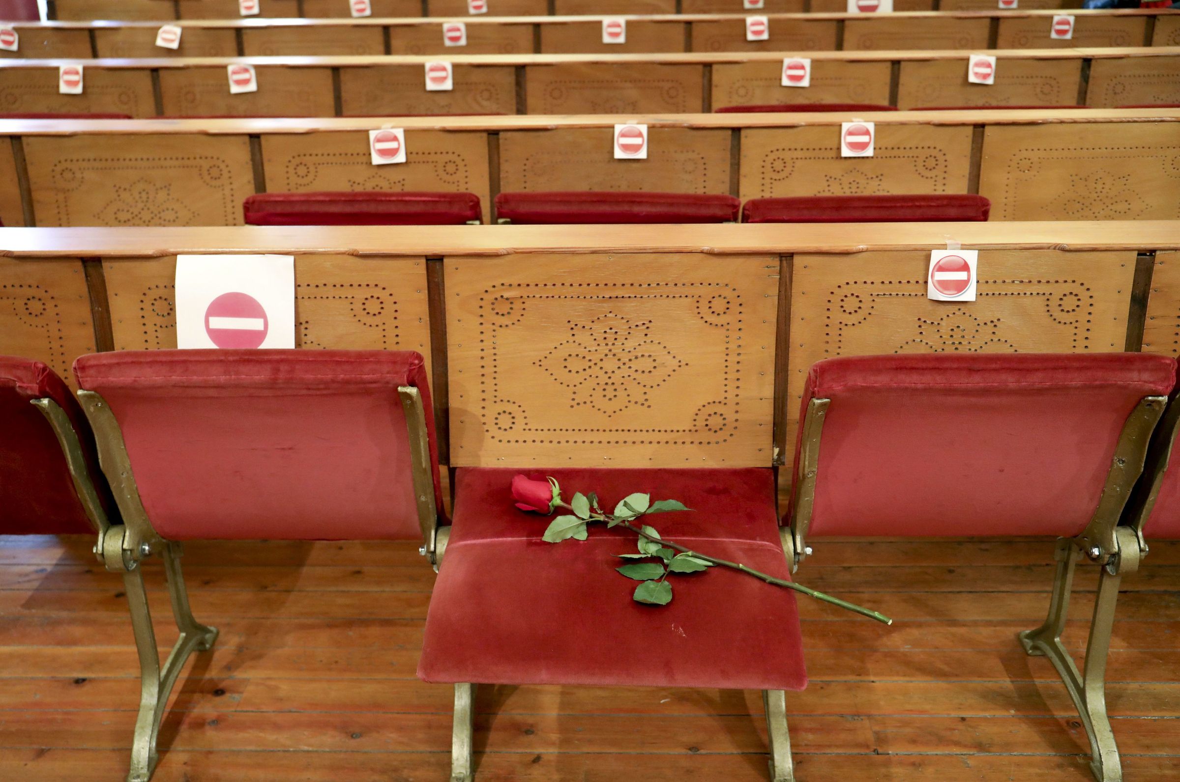 Una rosa descansa en la primera fila del Paraninfo de la Facultad de Historia en el da del libro. 23/04/2021