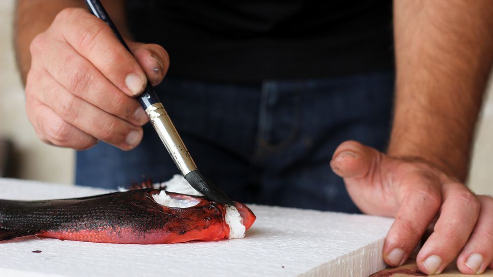 peixes de tinta.Esteban Bernárdez empapa la castañeta en el preparado de tinta de calamar y sal