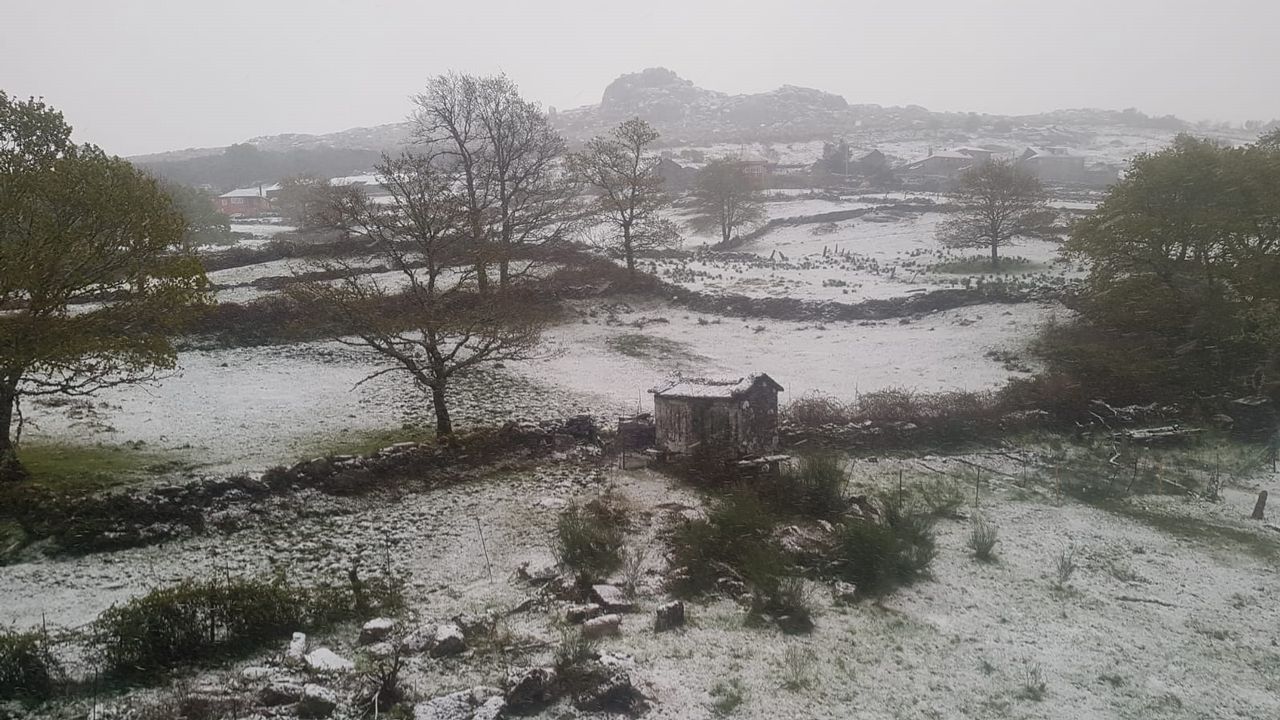 Nieve en A Lama