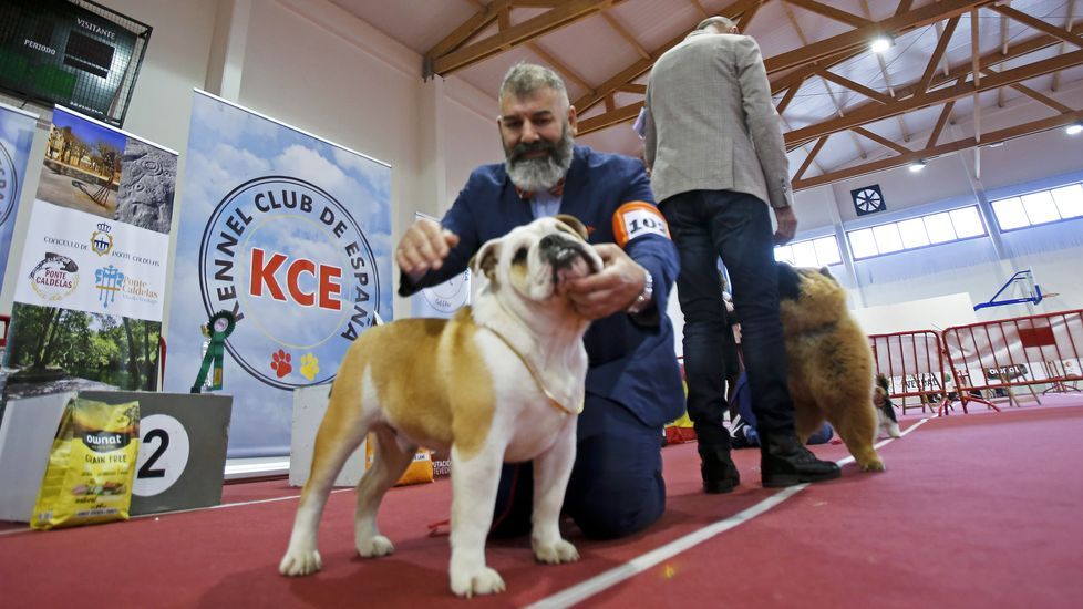 III Exposición Internacional Canina de Ponte Caldelas