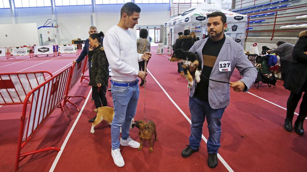 III Exposición Internacional Canina de Ponte Caldelas