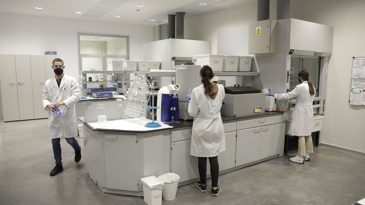 Investigadores del Cetim trabajando en procesos de la industria de la madera