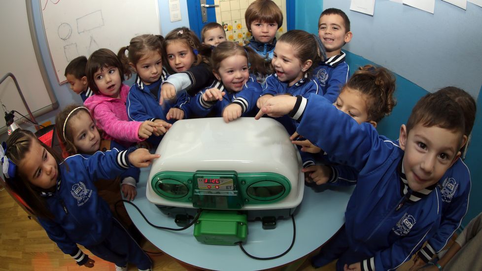 Proyecto voz natura en el colegio Jaime Balmes