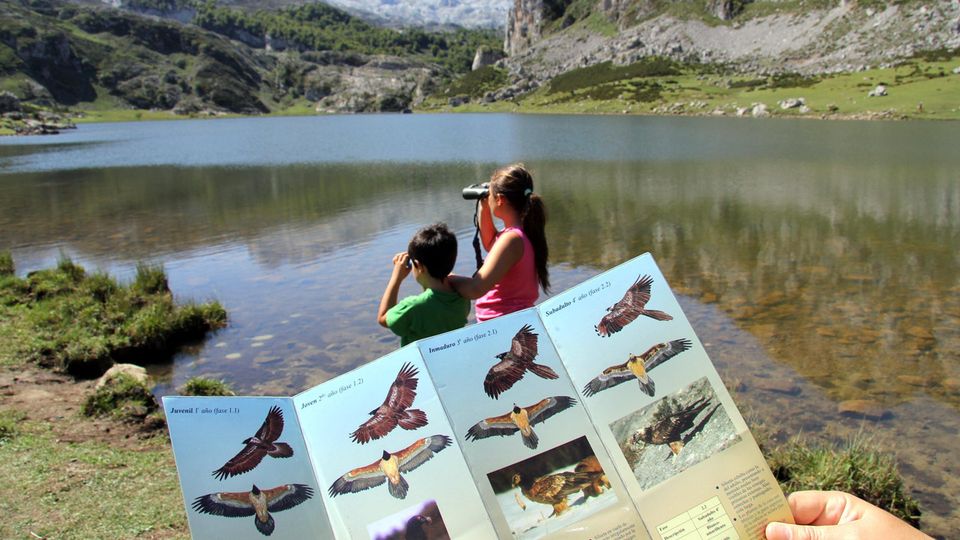 Asturias busca turistas «verdes» en el Reino Unido