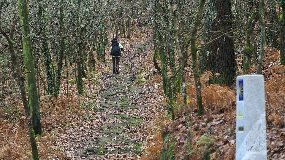 Rois quiere potenciar el núcleo de O Faramello por el tirón del Camino
