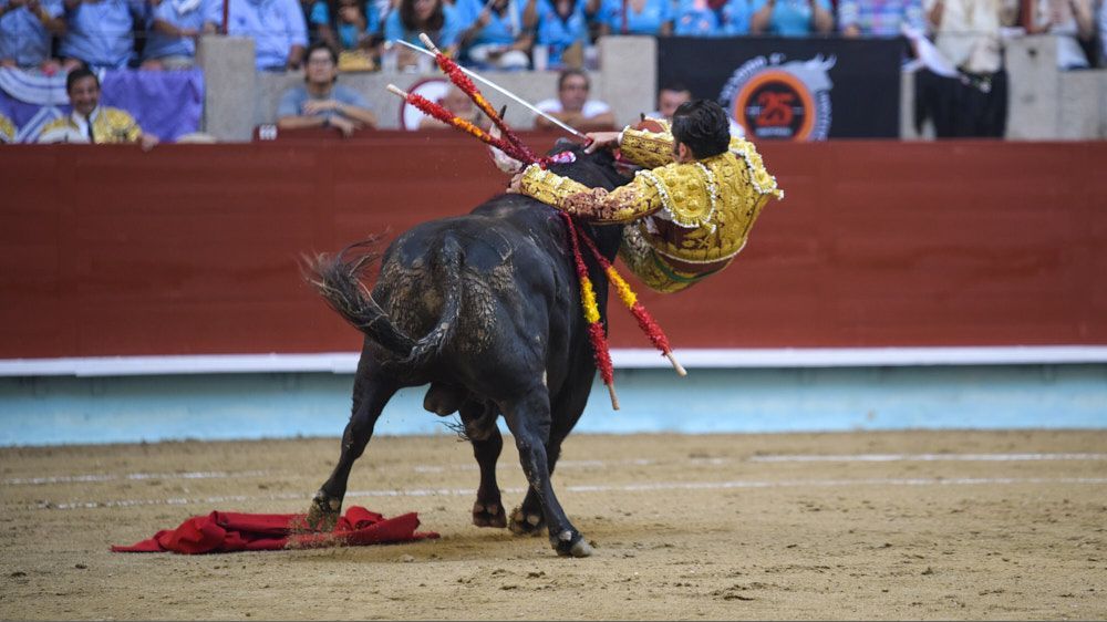 Momento da cornada a Morante de la Puebla en Pontevedra. 10/08/2025