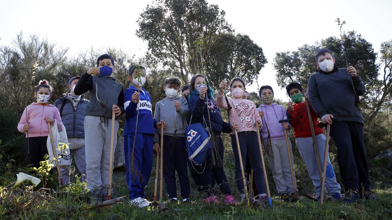 La comunidad de montes de Baroña continua con su bosque comestible