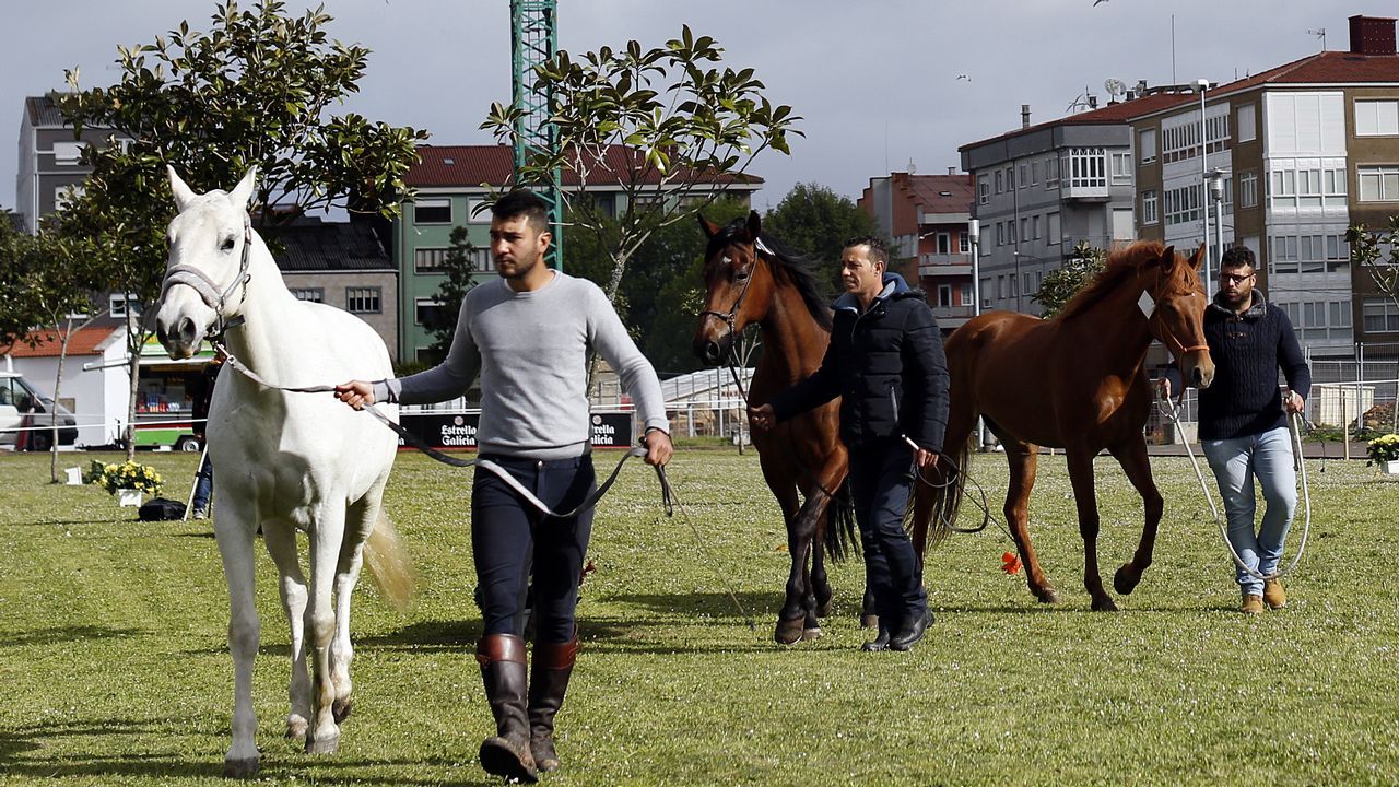 Feria caballar en las Fiestas de San Marcos 2019