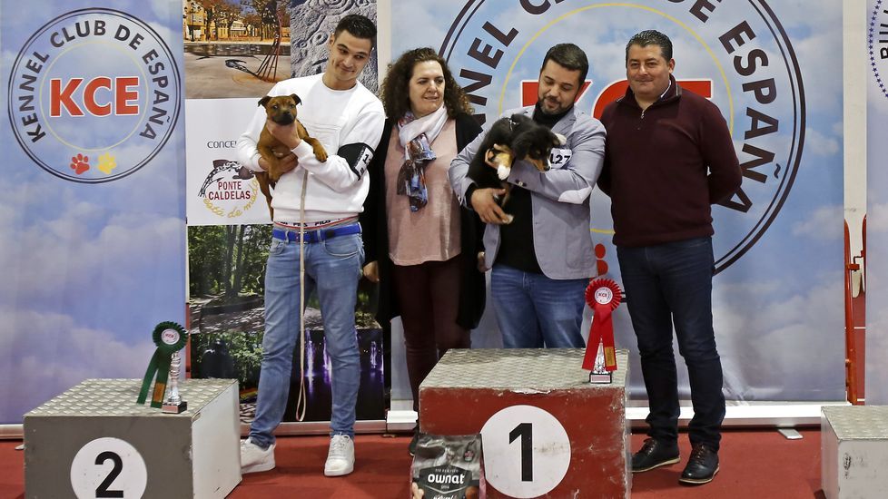 III Exposición Internacional Canina de Ponte Caldelas