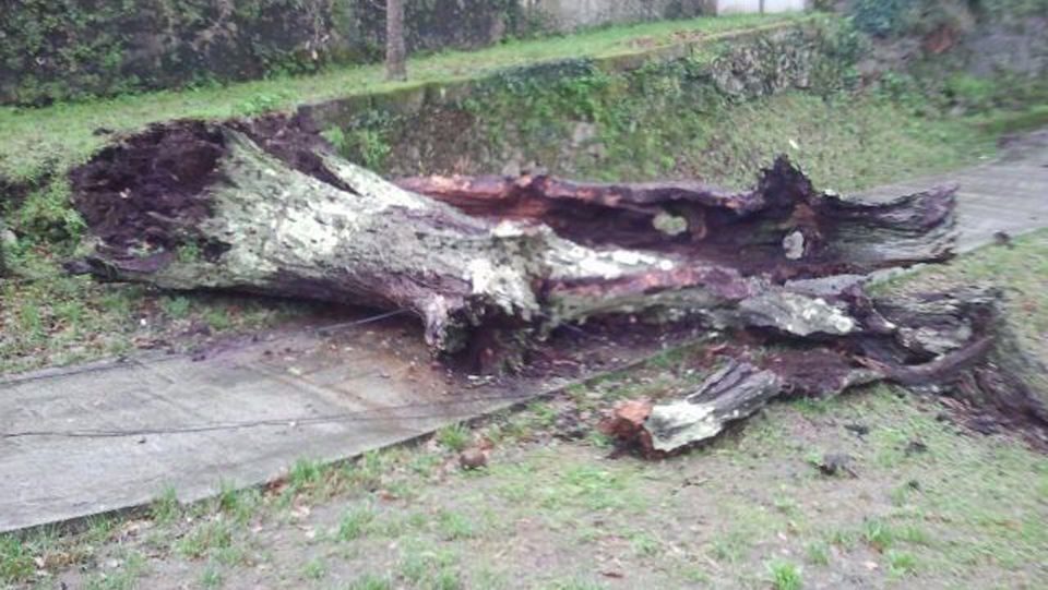 Carballo XXL.Temporal en la playa de A Frouxeira, en Valdoviño