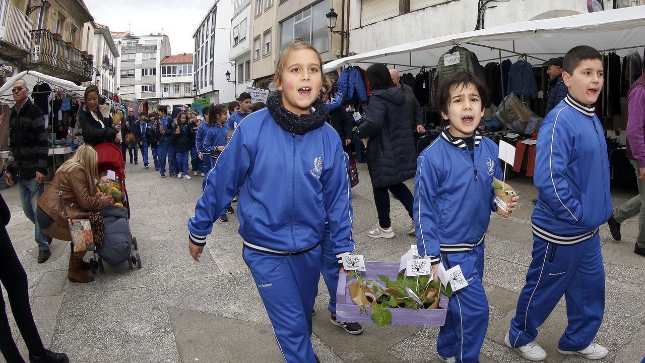 Voz Natura final del colegio Jaime Balmes, entrega de brotes de hortalizas de su huerto escolar 2020