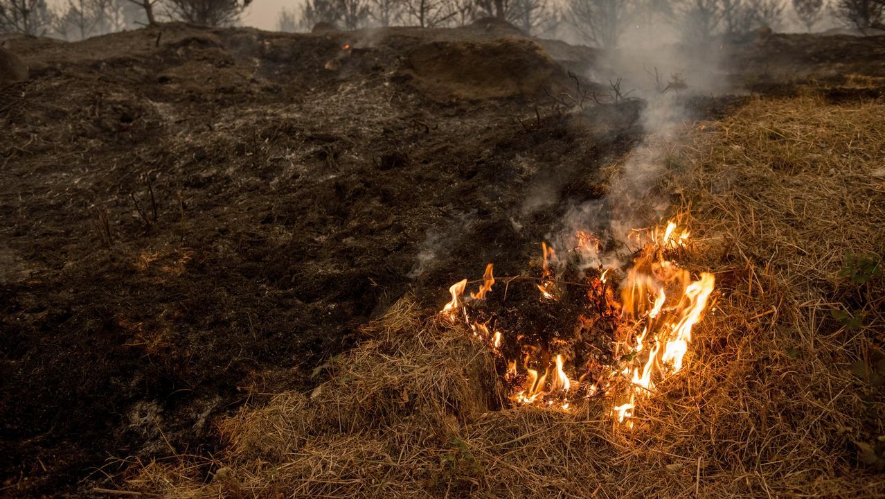 Incendio en el concello de Parada de Sil. Las llamas llegaron a diferentes partes del municipio