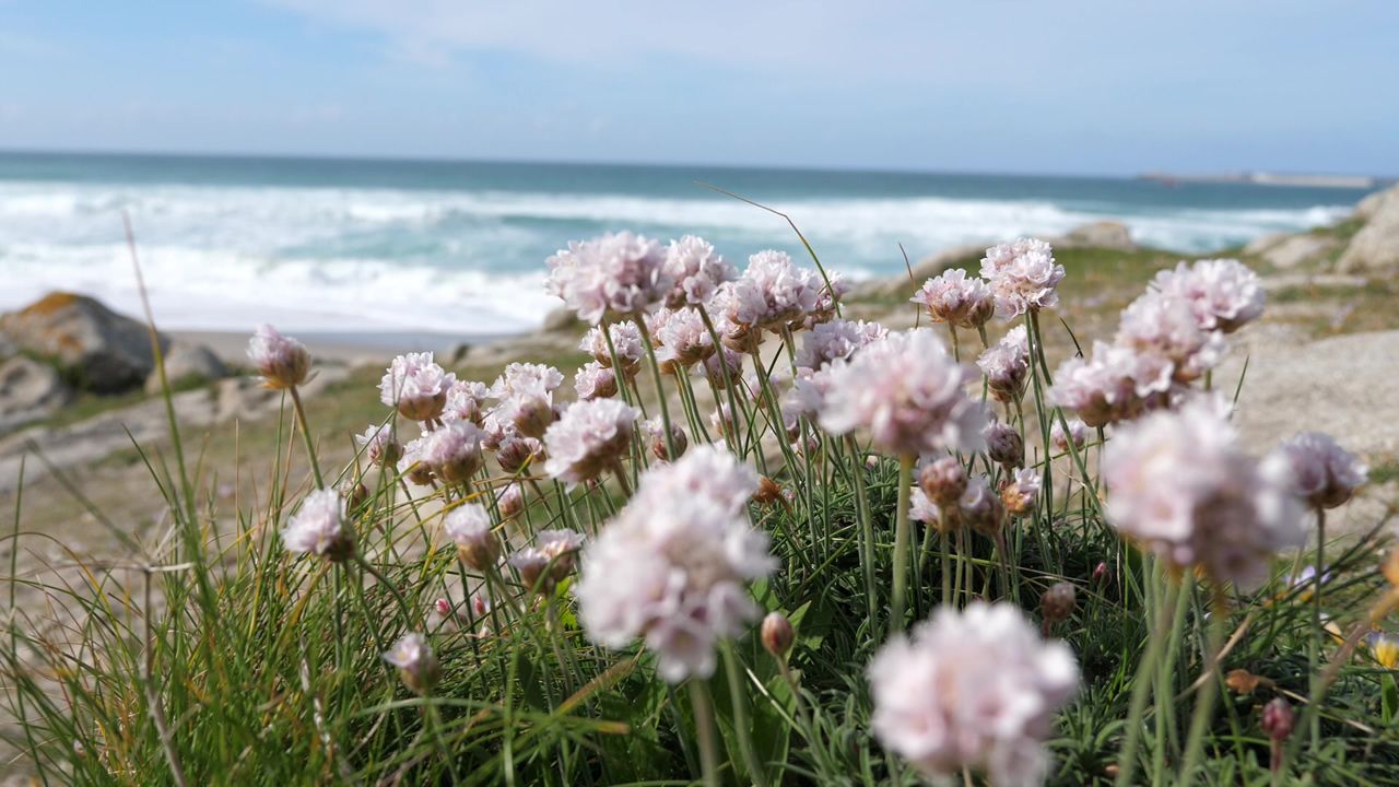 alquilovers.Marzo del 2019: en esta imagen, tomada hace unos diez d�as, el tablero derecho estaba a punto de llegar al estribo. Se completar� este mes.