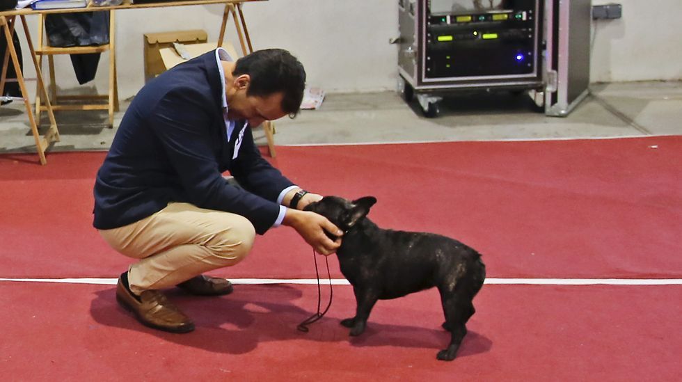 III Exposición Internacional Canina de Ponte Caldelas