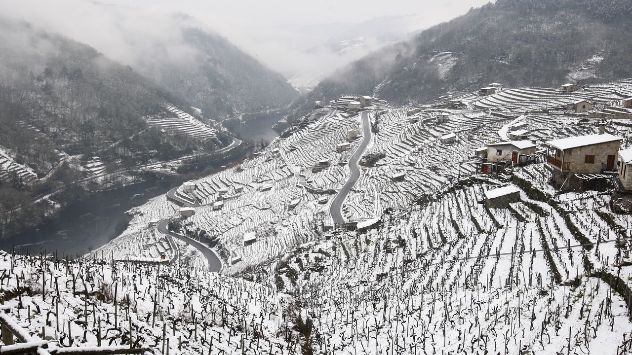La nieve que deja el temporal cubre los bancales de las viñas de la Ribeira de San Fiz.