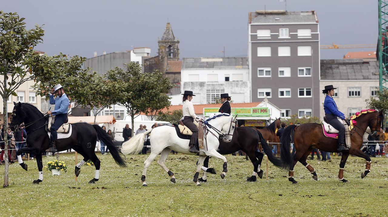 Feria caballar en las Fiestas de San Marcos 2019