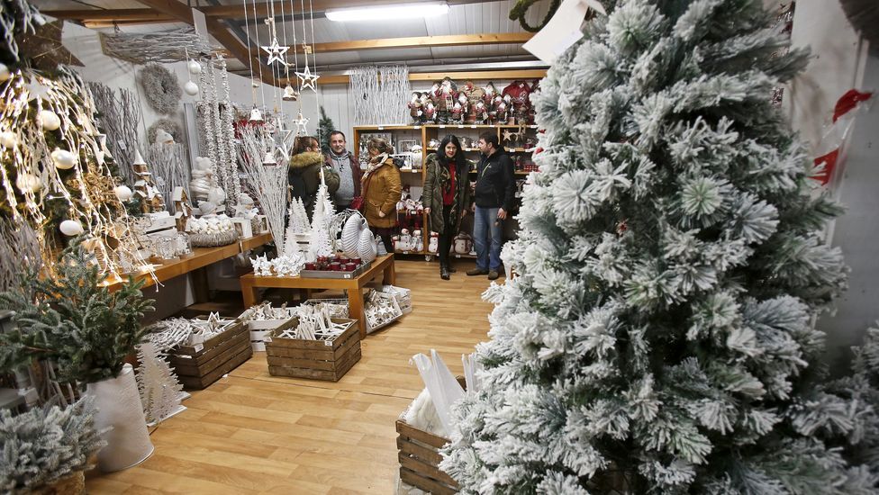 Navidad en Viveiros O Piñeiro