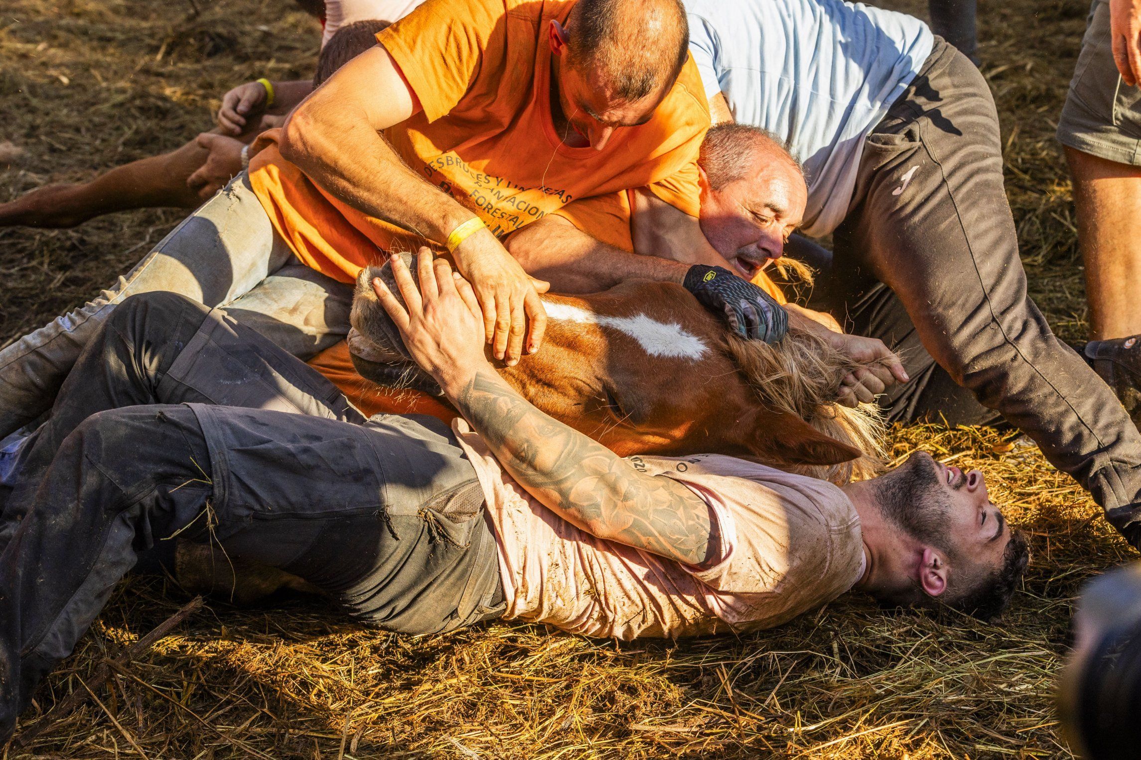 Vimianzo vive a emocin e o esprito ancestral na Rapa das Bestas, un encontro nico de valenta, tradicin e amor polos cabalos salvaxes. 21/07/2024