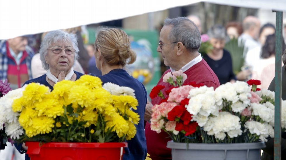 Mercado de flores para Todos los Santos