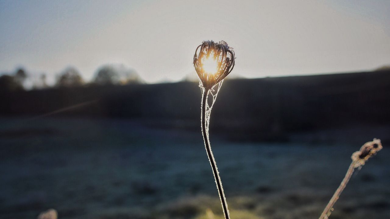 0 grados en Abegondo (A Coruña)