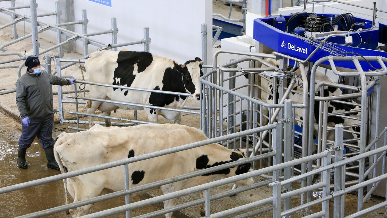 Hay tecnología para vigilar con detalle el bienestar animal