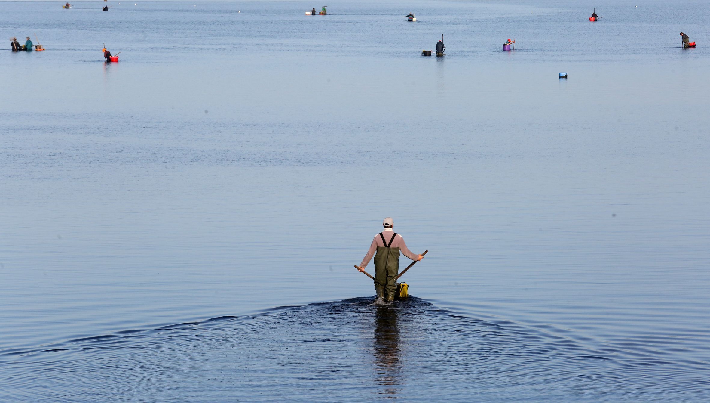 Un mariscador cami�a cunha forquilla cara o banco marisqueiro de Correlo na r�a de Arousa. 11/01/2023