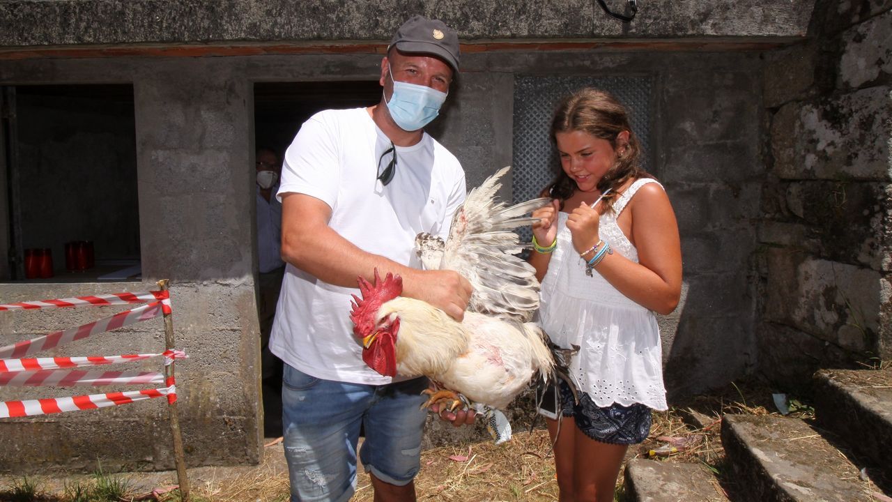 MISA EN SAN BENITO DE SERANS CON LA SUBASTA DE GALLOS