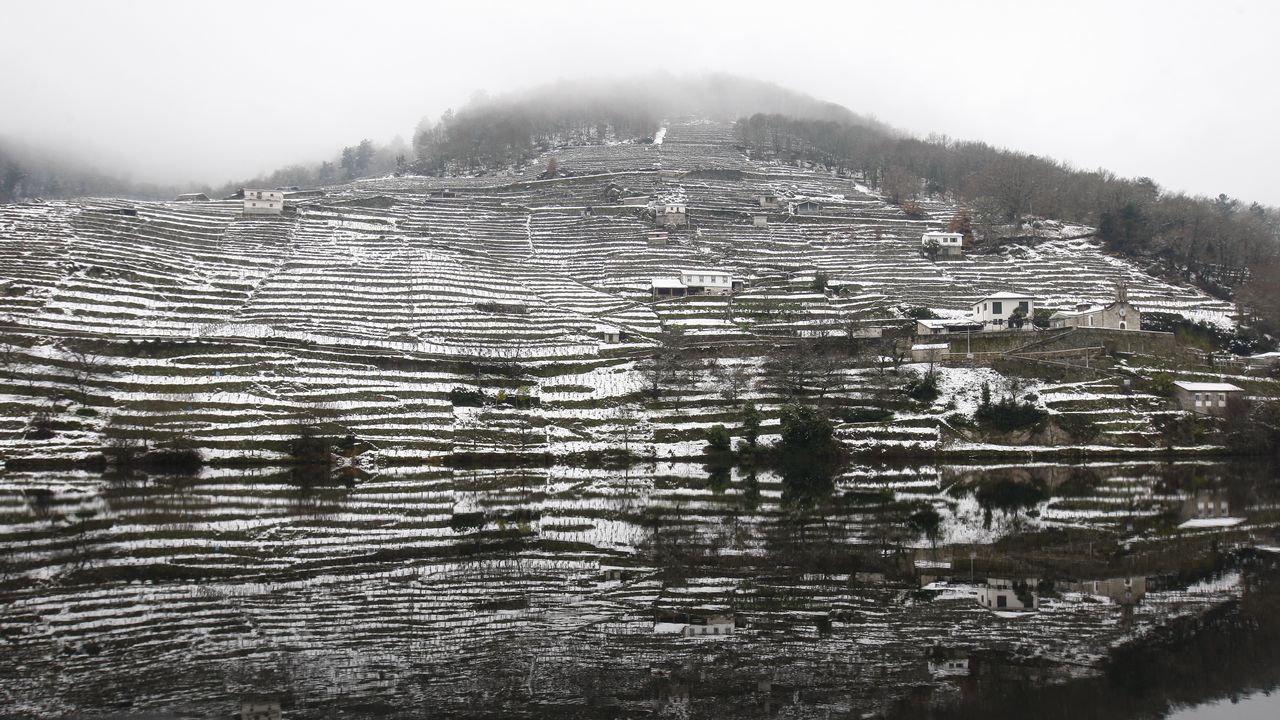 La nieve que deja el temporal cubre los bancales de las viñas de la Ribeira de Belesar.