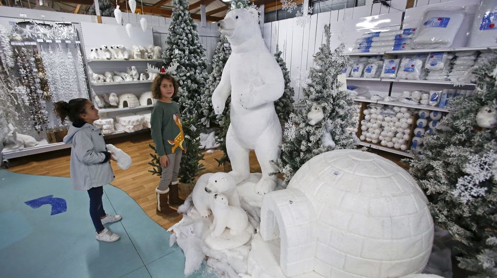 Navidad en Viveiros O Piñeiro