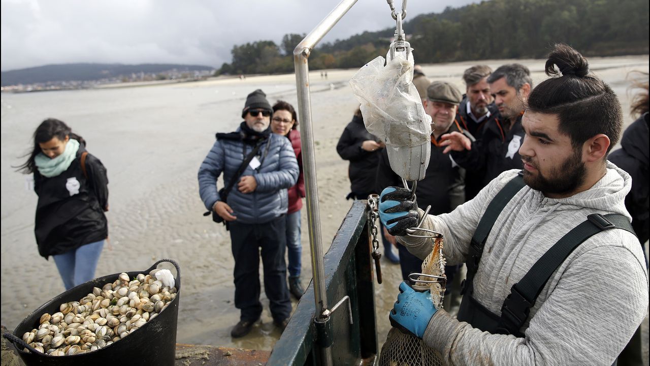 Alberto Chicote visita los bancos marisqueros de Testal en Noia
