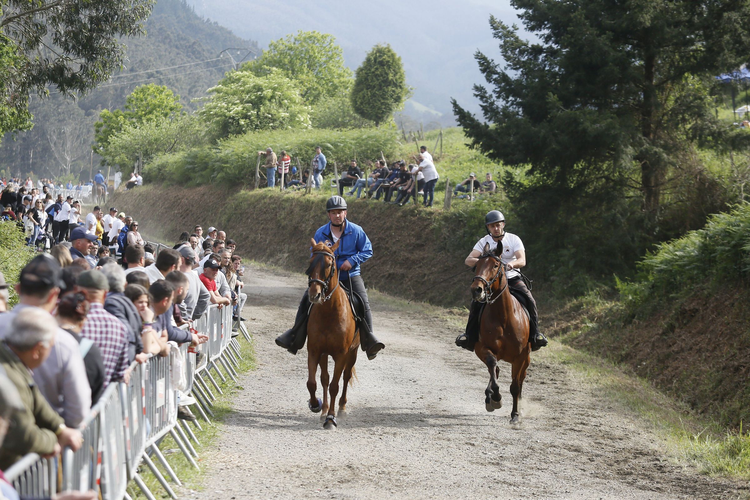 A Feira das Maulas, en Galdo, Viveiro, con tres s�culos as s�as costas, sigue facendo historia. 12/05/2023