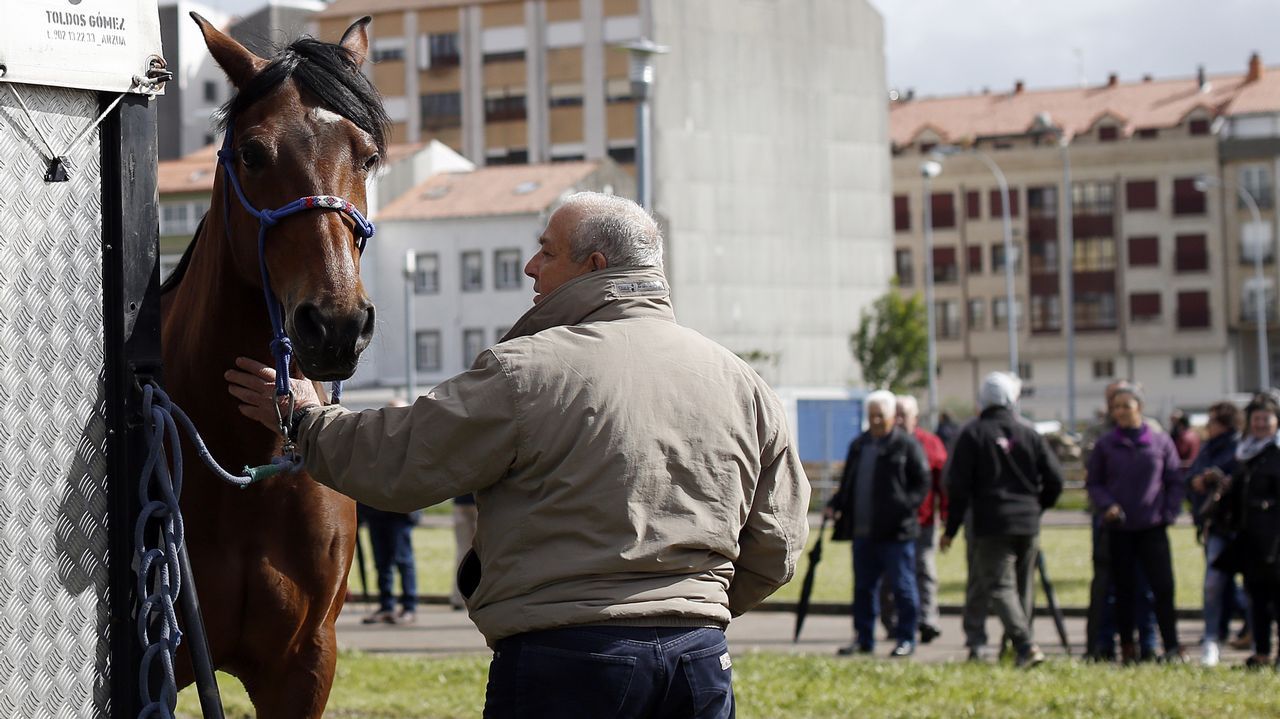Feria caballar en las Fiestas de San Marcos 2019