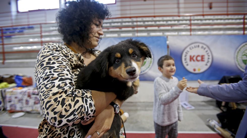 III Exposición Canina de Ponte Caldelas