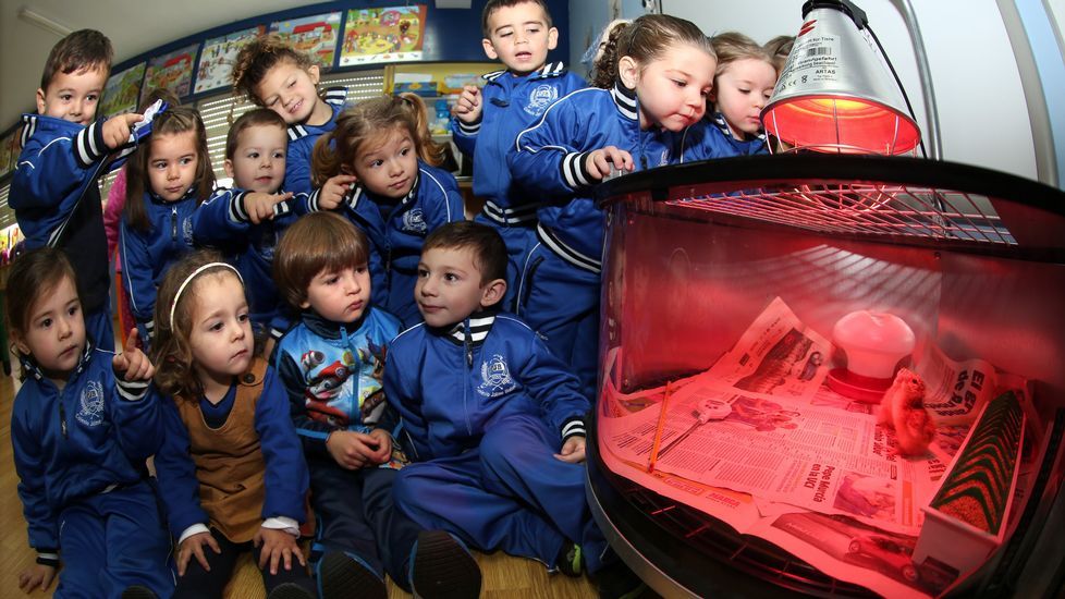 Proyecto voz natura en el colegio Jaime Balmes