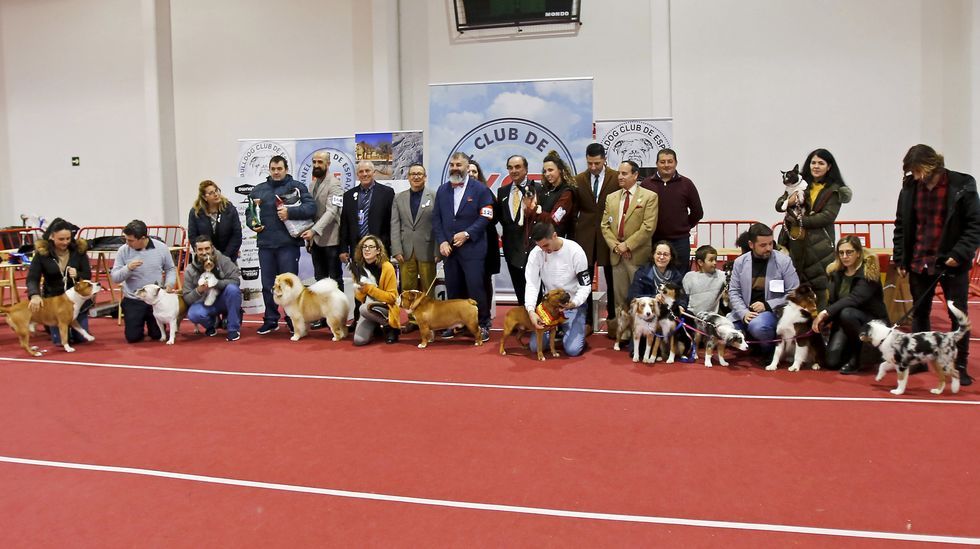 III Exposición Internacional Canina de Ponte Caldelas