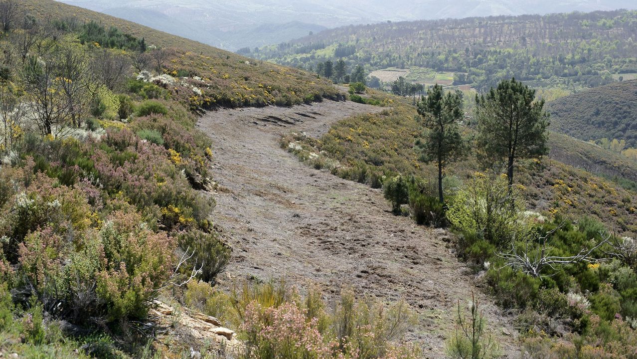 Parque Natural da Enciña da Lastra