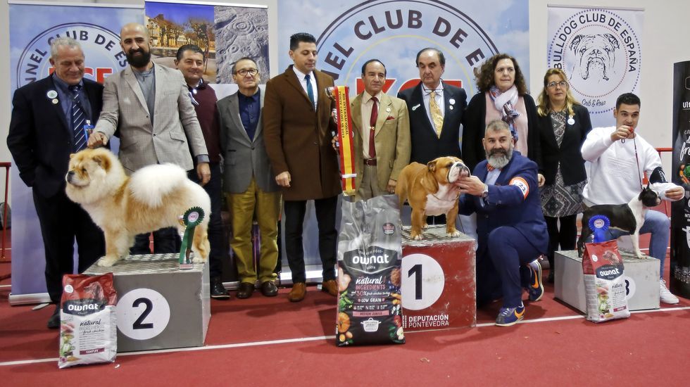 III Exposición Internacional Canina de Ponte Caldelas