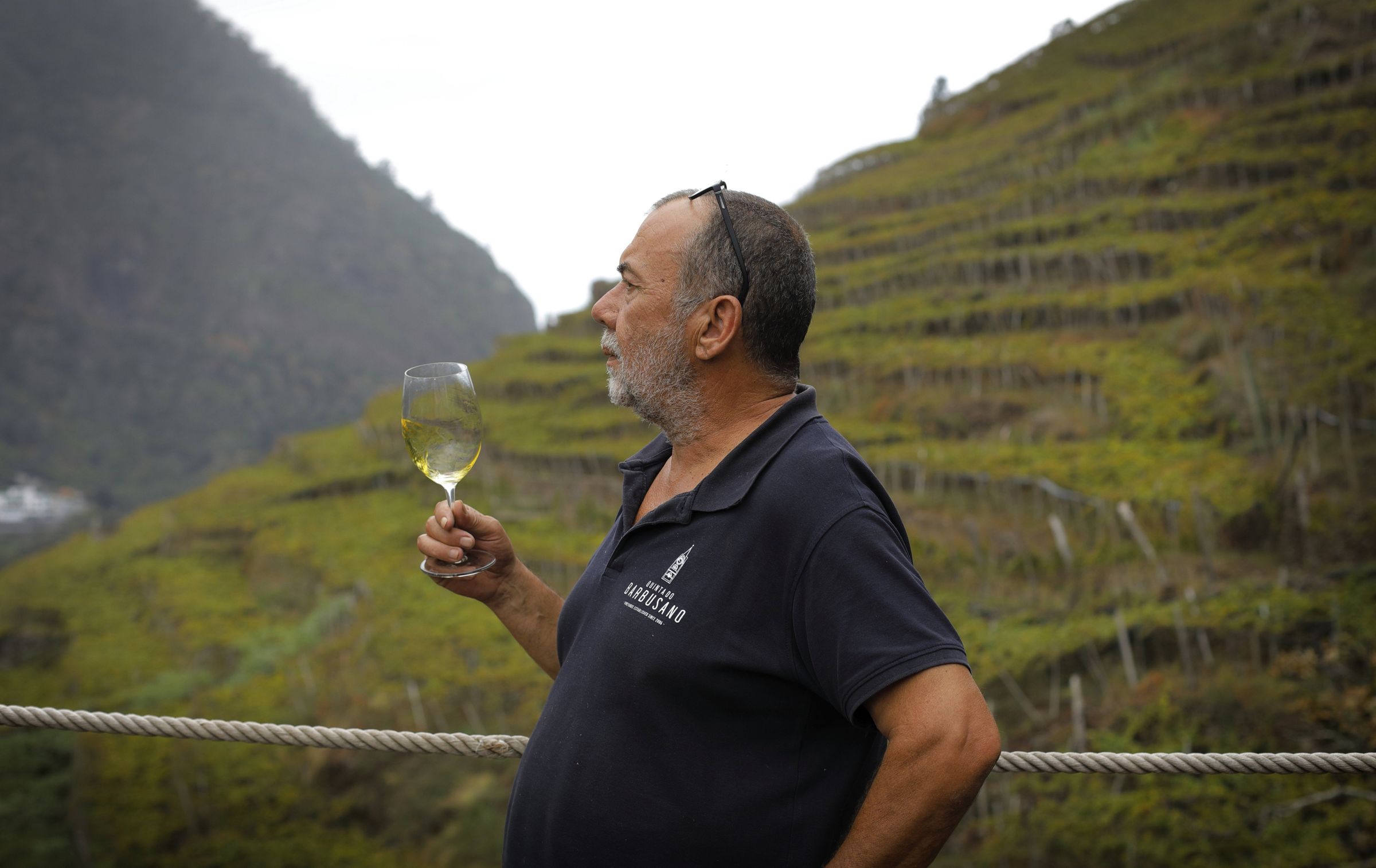 Su bodega cuenta con 12 hect�reas de vi�edos que consigui� tras comprar 88 parcelas a 56 propietarios diferentes